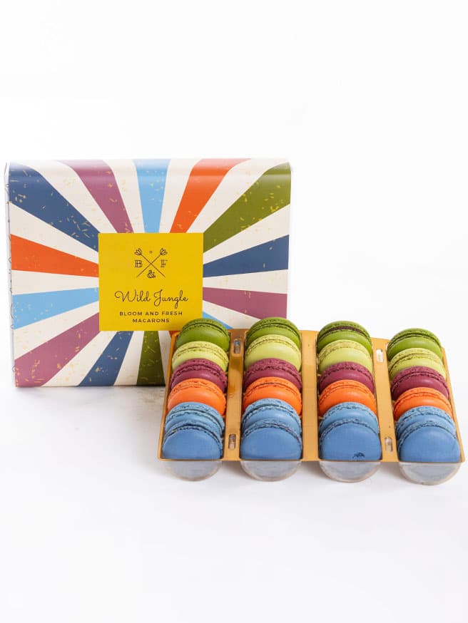 Wild Jungle Macarons (24'lü)