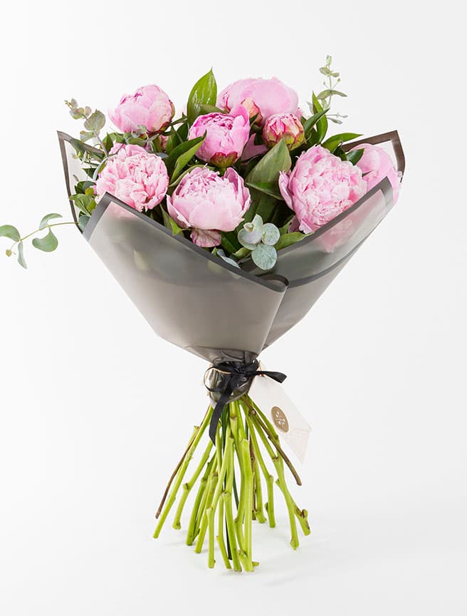 Pink Peonies