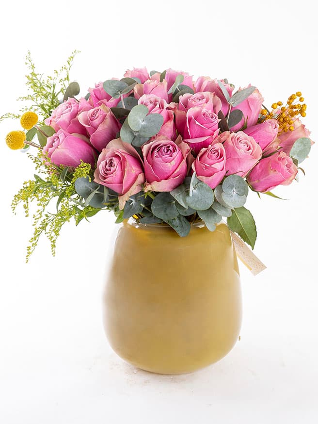 Olivrosa